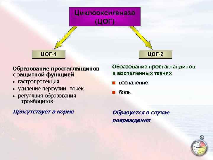 Цог 2. ЦОГ-1 И ЦОГ-2 что это. Отличие ЦОГ 1 И ЦОГ 2. Ингибиторы ЦОГ 1 И ЦОГ 2. ЦОГ 1 И ЦОГ 2 простагландины.