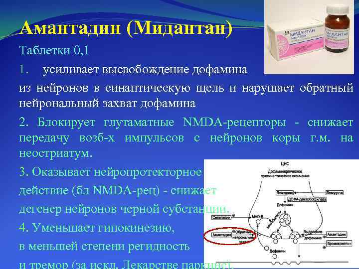 Амантадин (Мидантан) Таблетки 0, 1 1. усиливает высвобождение дофамина из нейронов в синаптическую щель