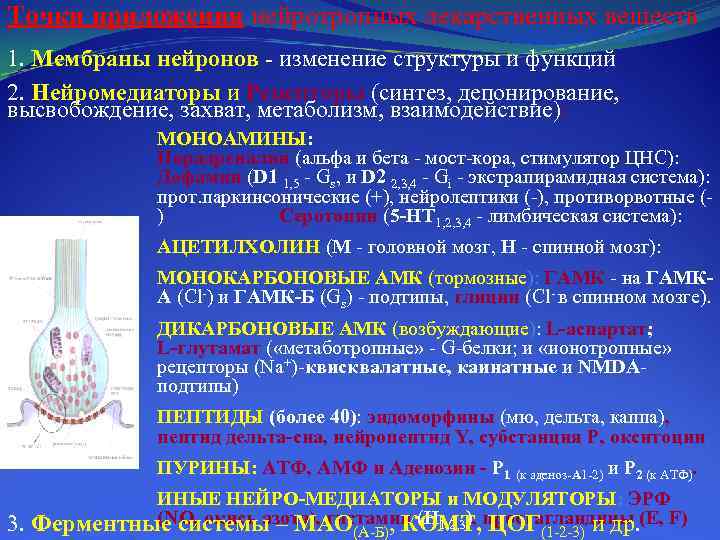 Точки приложения нейротропных лекарственных веществ 1. Мембраны нейронов изменение структуры и функций 2. Нейромедиаторы