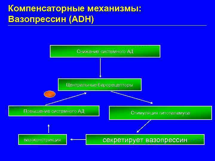 Компенсаторные механизмы: Вазопрессин (ADH) Снижение системного АД Центральные барорецепторы Повышение системного АД вазоконстрикция Стимуляция