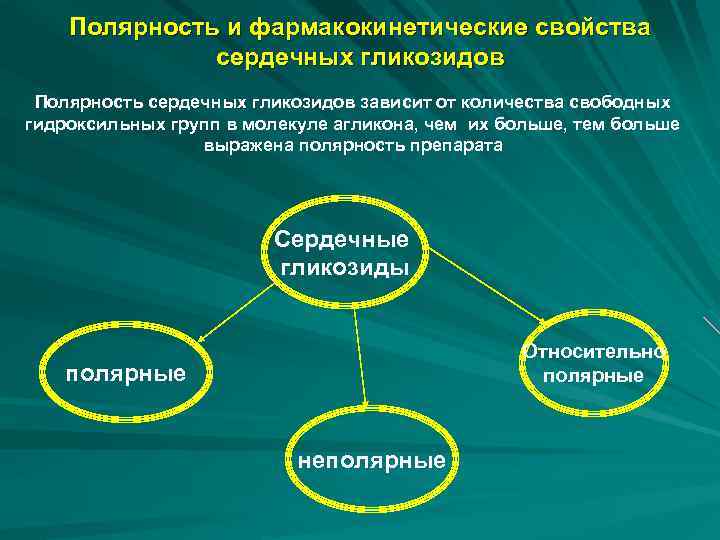 Полярность и фармакокинетические свойства сердечных гликозидов Полярность сердечных гликозидов зависит от количества свободных гидроксильных