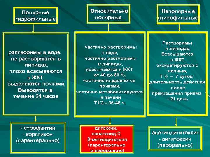 Полярные (гидрофильные) Относительно полярные растворимы в воде, не растворяются в липидах, плохо всасываются в