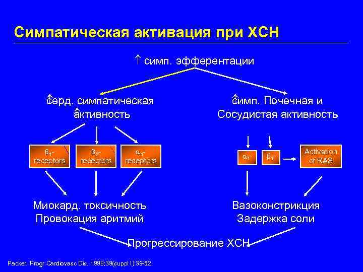 Симпатическая активация при ХСН симп. эфферентации серд. симпатическая с активность а 1 receptors 2