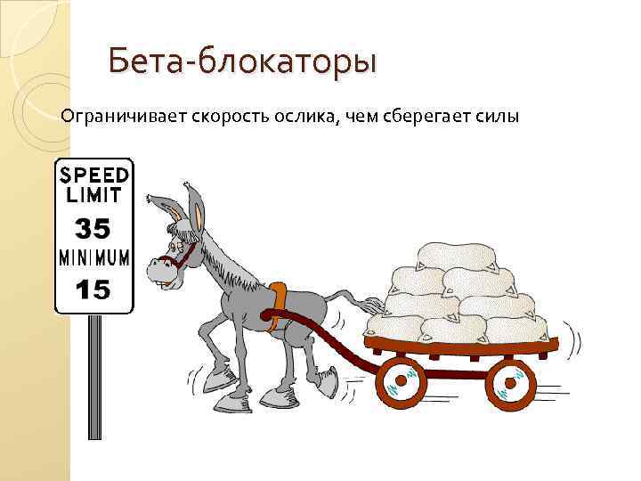 Бета-блокаторы Ограничивает скорость ослика, чем сберегает силы 
