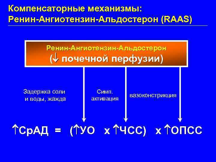 Компенсаторные механизмы: Ренин-Ангиотензин-Альдостерон (RAAS) Ренин-Ангиотензин-Альдостерон ( почечной перфузии) Задержка соли и воды, жажда Симп.
