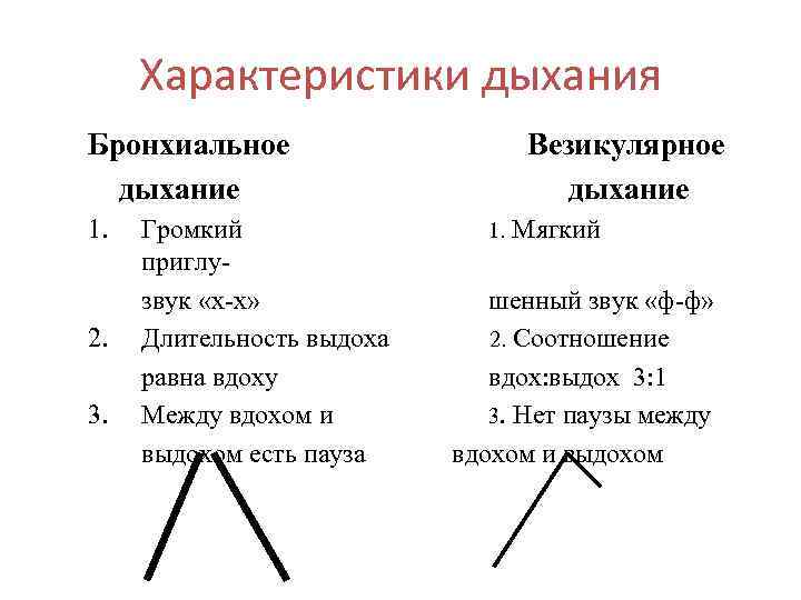 Характеристики дыхания Бронхиальное дыхание 1. 2. 3. Везикулярное дыхание Громкий 1. Мягкий приглу- звук