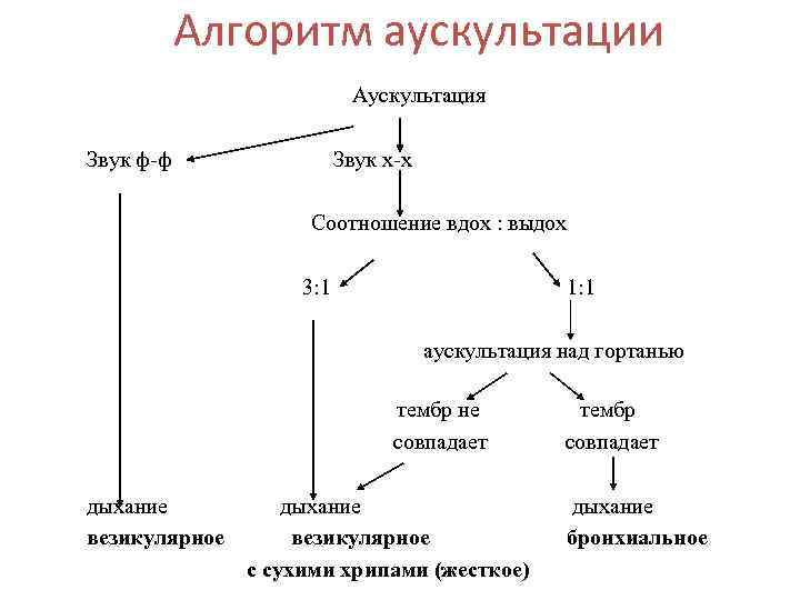 Алгоритм аускультации Аускультация Звук ф-ф Звук х-х Соотношение вдох : выдох 3: 1 1: