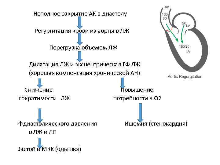 Неполное закрытие АК в диастолу Регургитация крови из аорты в ЛЖ Перегрузка объемом ЛЖ
