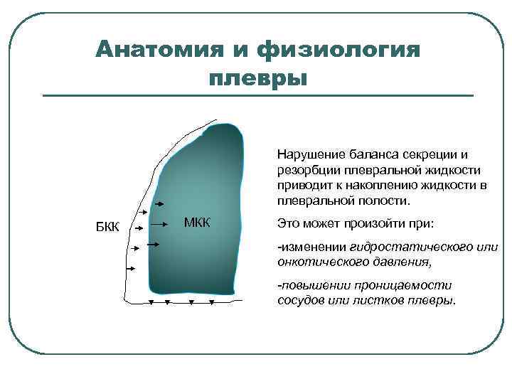Анатомия и физиология плевры Нарушение баланса секреции и резорбции плевральной жидкости приводит к накоплению