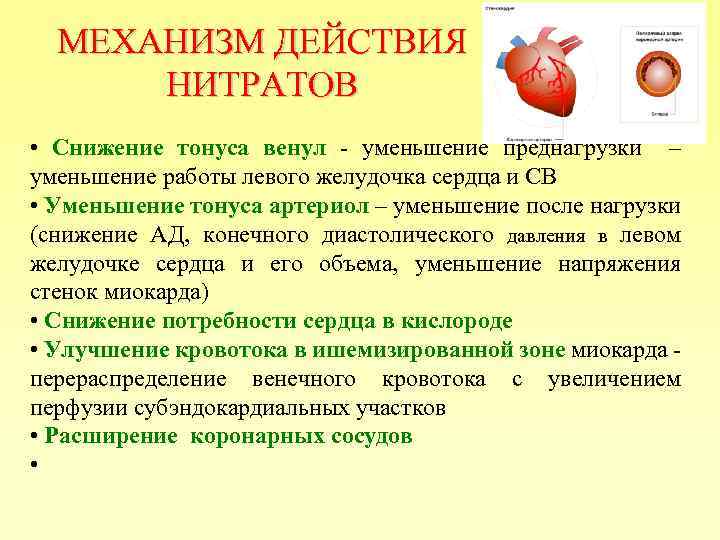 МЕХАНИЗМ ДЕЙСТВИЯ НИТРАТОВ • Снижение тонуса венул - уменьшение преднагрузки – уменьшение работы левого