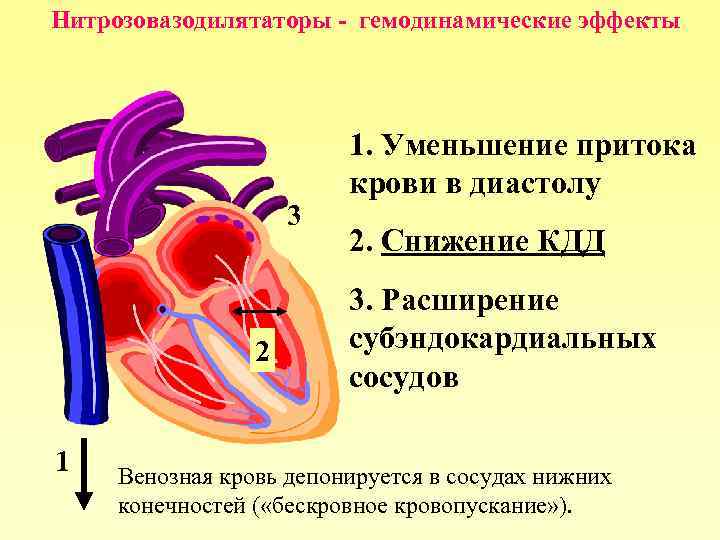 Нитрозовазодилятаторы - гемодинамические эффекты 3 2 1 1. Уменьшение притока крови в диастолу 2.