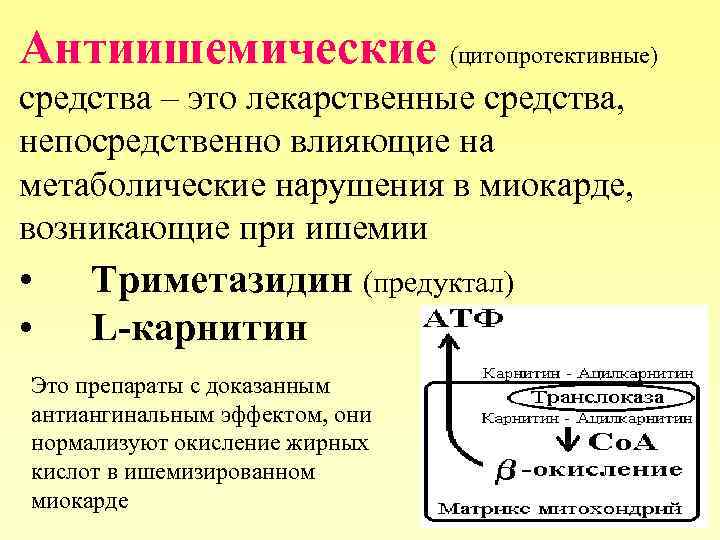 Антиишемические (цитопротективные) средства – это лекарственные средства, непосредственно влияющие на метаболические нарушения в миокарде,