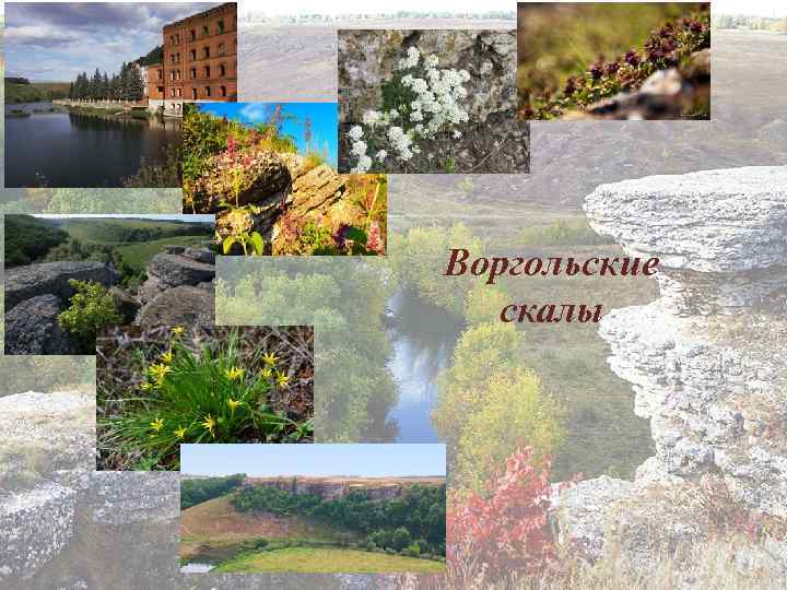 Воргольские скалы 