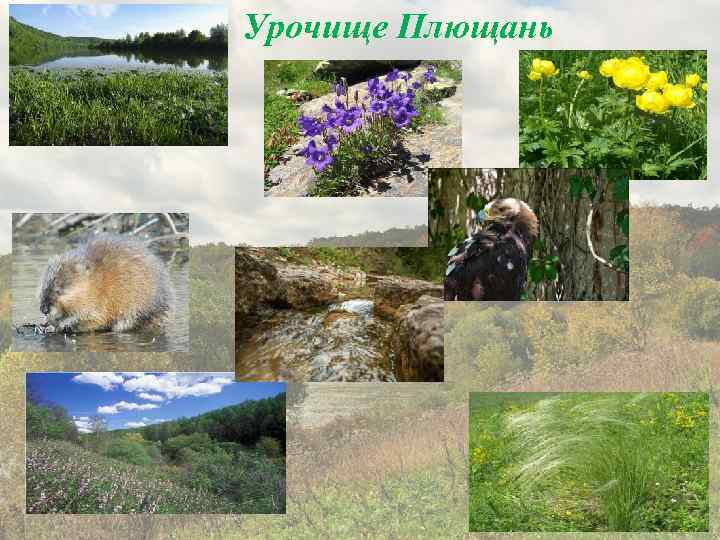 Урочище Плющань 