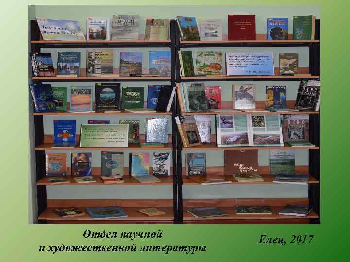 Отдел научной и художественной литературы Елец, 2017 
