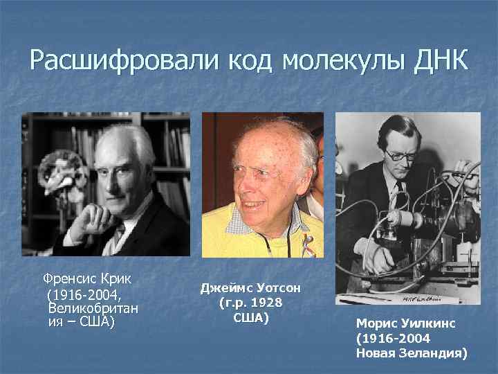 Расшифровали код молекулы ДНК Френсис Крик (1916 -2004, Великобритан ия – США) Джеймс Уотсон