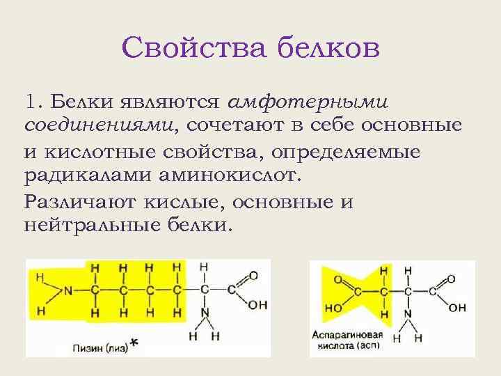 Свойства белков 1. Белки являются амфотерными соединениями, сочетают в себе основные и кислотные свойства,