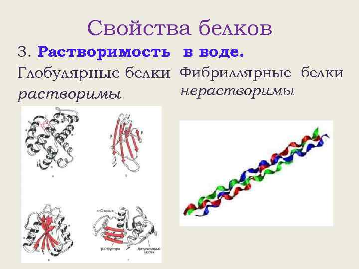 Свойства белков 3. Растворимость в воде. Глобулярные белки Фибриллярные белки нерастворимы 