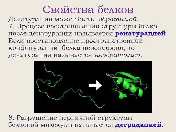 Свойства белков Денатурация может быть: обратимой. 7. Процесс восстановления структуры белка после денатурации называется