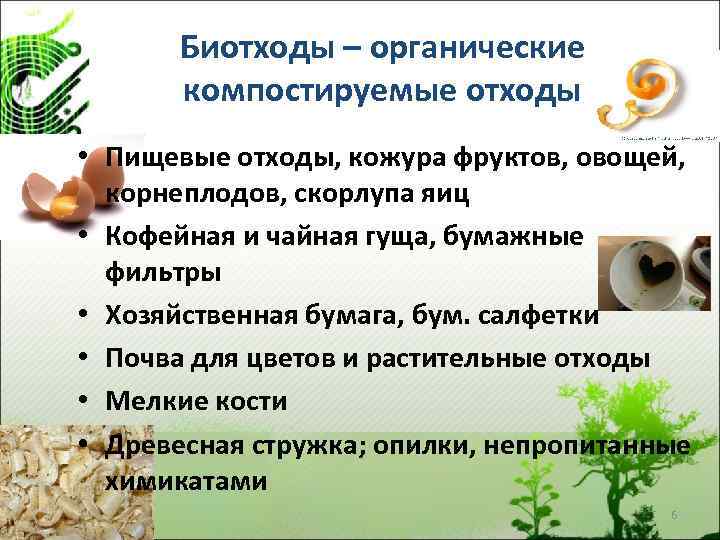 Пищевые отходы школьной столовой