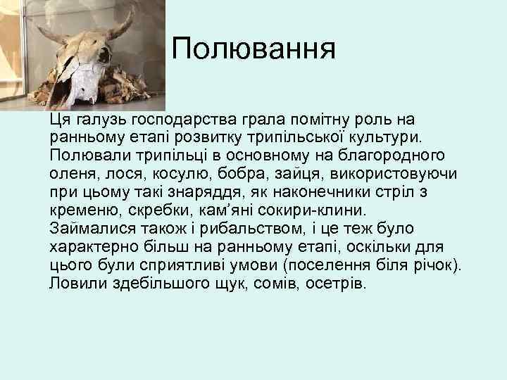 Полювання • Ця галузь господарства грала помітну роль на ранньому етапі розвитку трипільської культури.