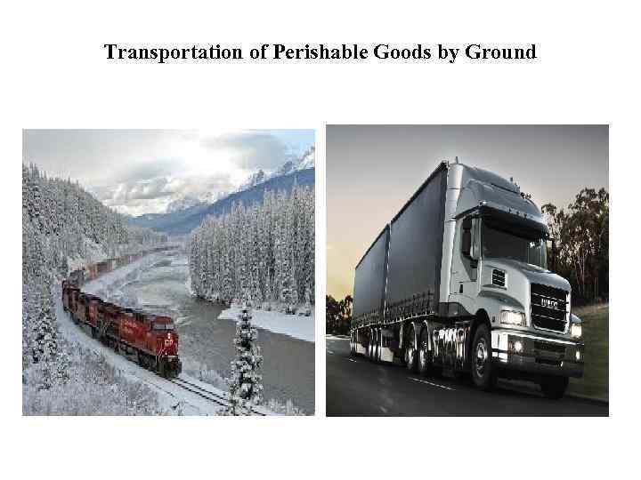 Transportation of Perishable Goods by Ground 