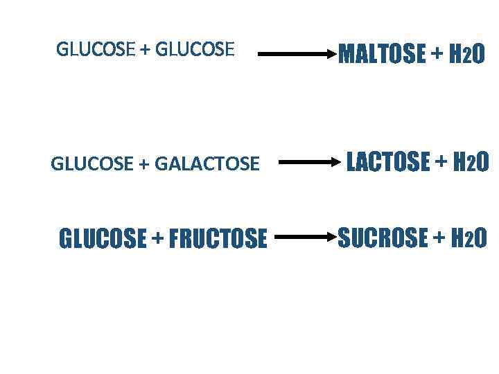 GLUCOSE + GALACTOSE GLUCOSE + FRUCTOSE MALTOSE + H 2 O LACTOSE + H