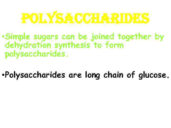 POLYSACCHARIDES • Simple sugars can be joined together by dehydration synthesis to form polysaccharides.