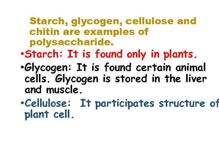 Starch, glycogen, cellulose and chitin are examples of polysaccharide. • Starch: It is found