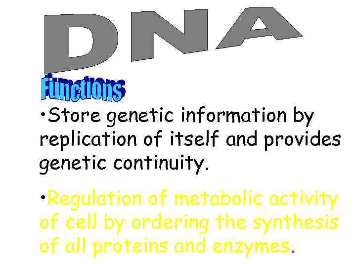  • Store genetic information by replication of itself and provides genetic continuity. •