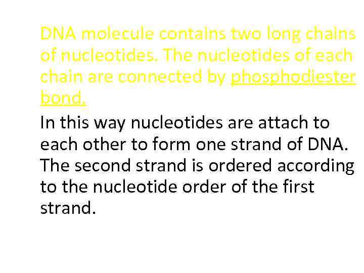 DNA molecule contains two long chains of nucleotides. The nucleotides of each chain are