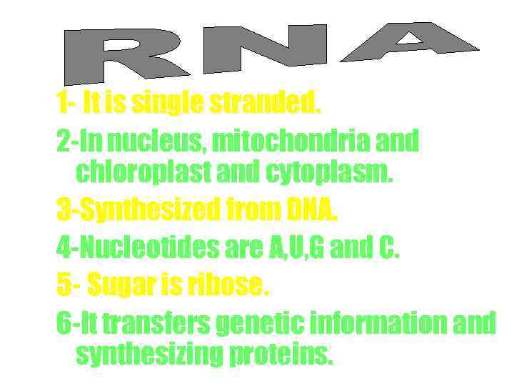 1 - It is single stranded. 2 -In nucleus, mitochondria and chloroplast and cytoplasm.