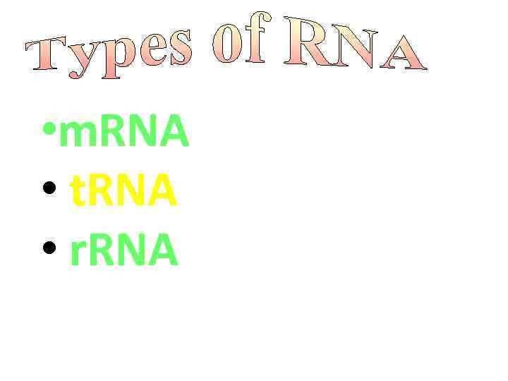  • m. RNA • t. RNA • r. RNA 