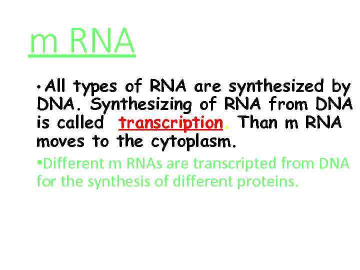 m RNA • All types of RNA are synthesized by DNA. Synthesizing of RNA