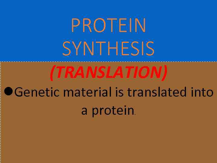 PROTEIN SYNTHESIS (TRANSLATION) l. Genetic material is translated into a protein. 