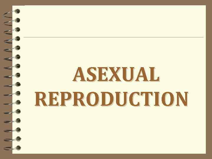 ASEXUAL REPRODUCTION 