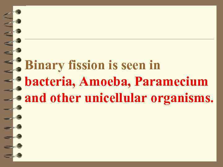 Binary fission is seen in bacteria, Amoeba, Paramecium and other unicellular organisms. 