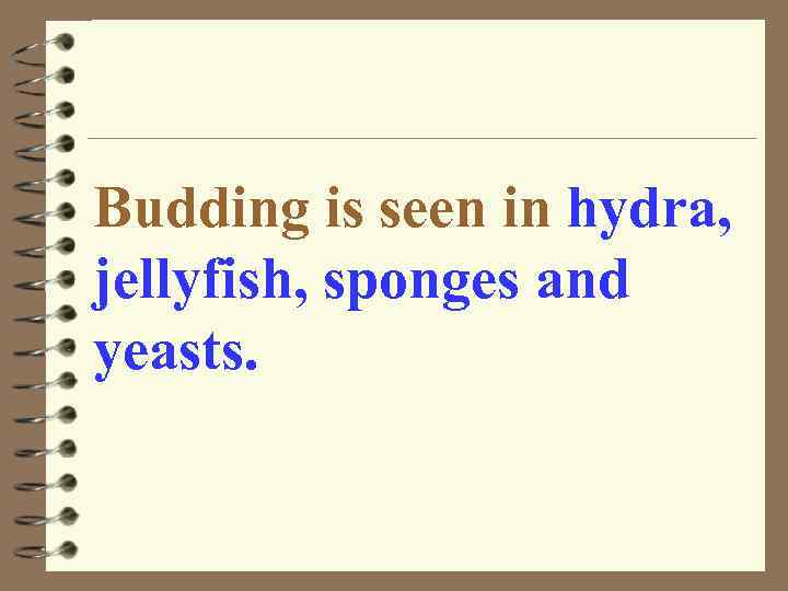 Budding is seen in hydra, jellyfish, sponges and yeasts. 