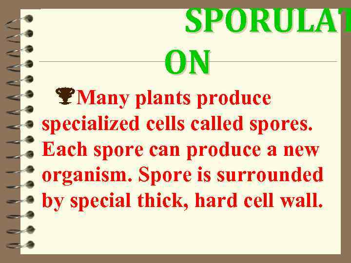 SPORULAT ON Many plants produce specialized cells called spores. Each spore can produce a