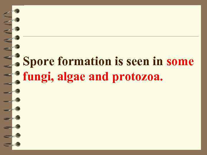 Spore formation is seen in some fungi, algae and protozoa. 
