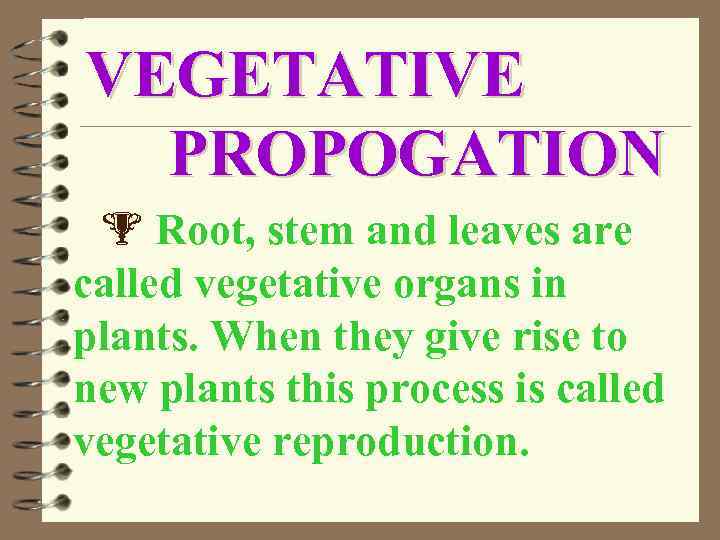 VEGETATIVE PROPOGATION Root, stem and leaves are called vegetative organs in plants. When they