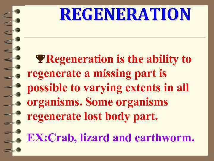 REGENERATION Regeneration is the ability to regenerate a missing part is possible to varying