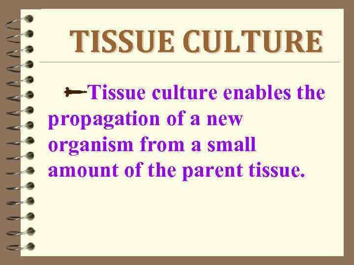 TISSUE CULTURE Tissue culture enables the propagation of a new organism from a small