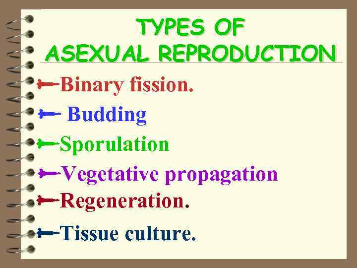 TYPES OF ASEXUAL REPRODUCTION Binary fission. Budding Sporulation Vegetative propagation Regeneration. Tissue culture. 