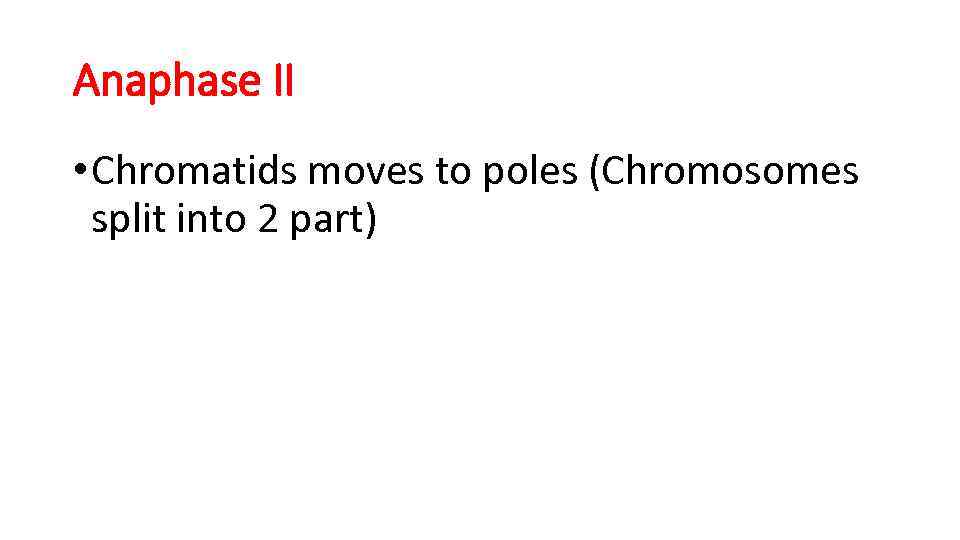 Anaphase II • Chromatids moves to poles (Chromosomes split into 2 part) 