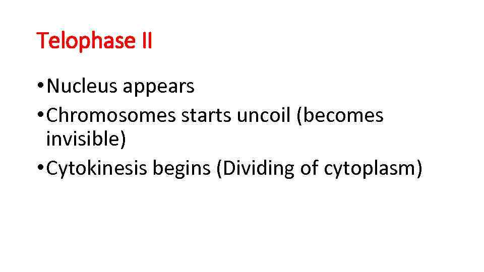 Telophase II • Nucleus appears • Chromosomes starts uncoil (becomes invisible) • Cytokinesis begins