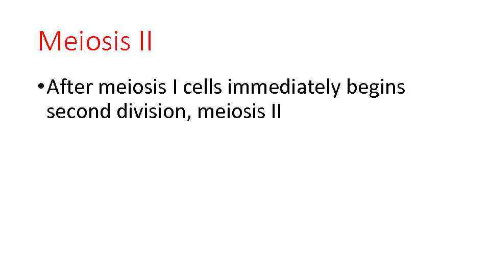 Meiosis II • After meiosis I cells immediately begins second division, meiosis II 