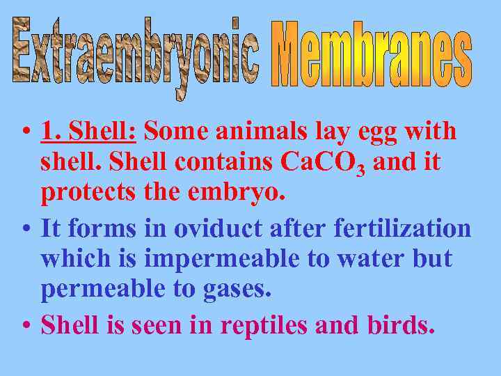  • 1. Shell: Some animals lay egg with shell. Shell contains Ca. CO