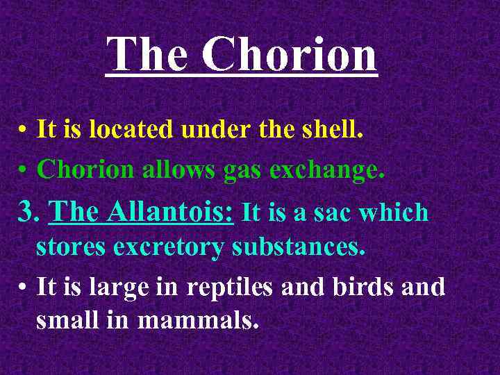 The Chorion • It is located under the shell. • Chorion allows gas exchange.