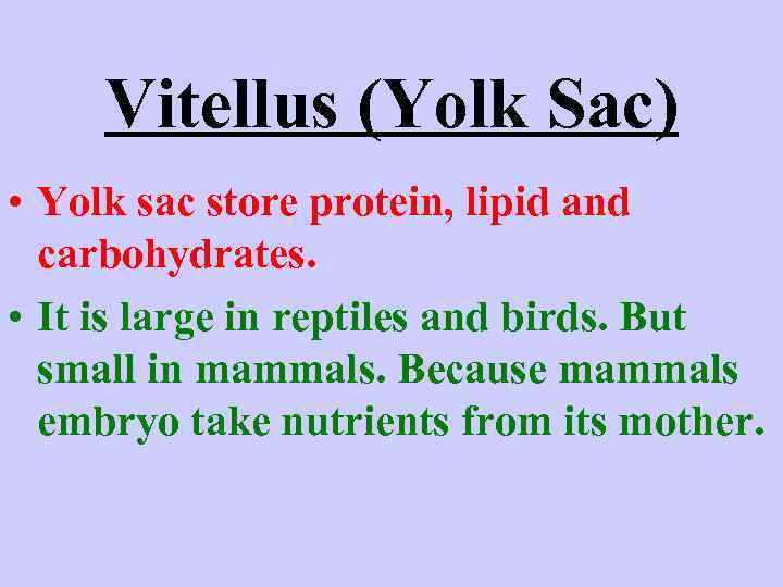 Vitellus (Yolk Sac) • Yolk sac store protein, lipid and carbohydrates. • It is